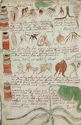 ヴォイニッチ手稿の壺と瓶のページ